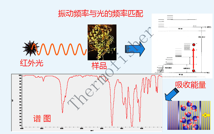 430d6c4027296fdbd047fe9837b5ec59.png 430d6c4027296fdbd047fe9837b5ec59.png